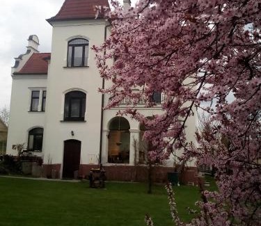 Bechyne House | Villa Liduška s kavárnou