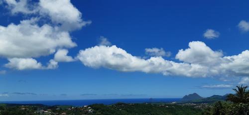 Riviere-Salee Apartment | VILLA LINEDDY/ZINNIA