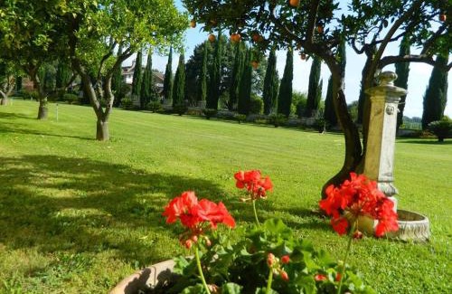 Altavilla Silentina Bed & Breakfast | Villa Lucilla