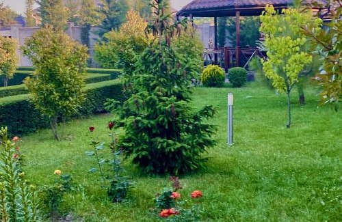 Quba Villa | Villa Lux in Quba