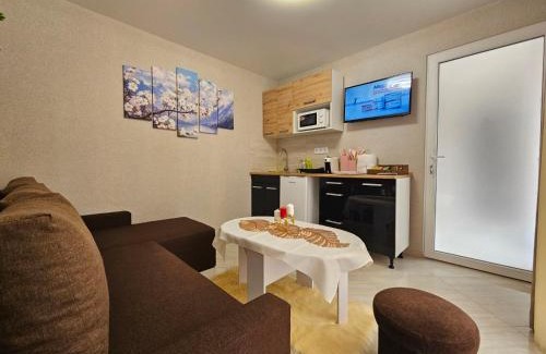 Berehove House | Villa Magnat