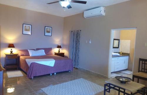 Whitehouse House | Villa Malvina