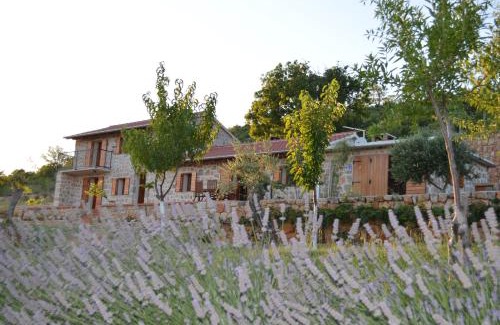 Seline House | Villa Mara - secluded house with breathtaking view- Seline, Starigrad Paklenica