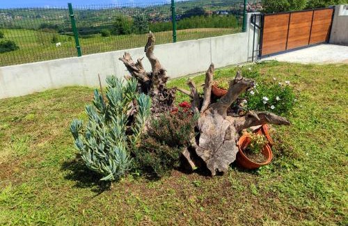 Mijares Villa | Villa Marta