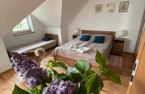 Wdzydze Kiszewskie House | Villa Marzenie Pokój 2 osobowy