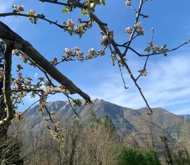 Casoli Villa | Villa Michelis de Matrice