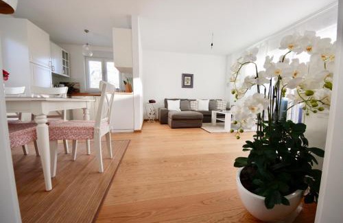 Zelenka Apartment | Villa More