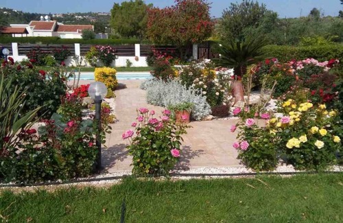 Latchi Villa | Villa Morfo your perfect gate-away