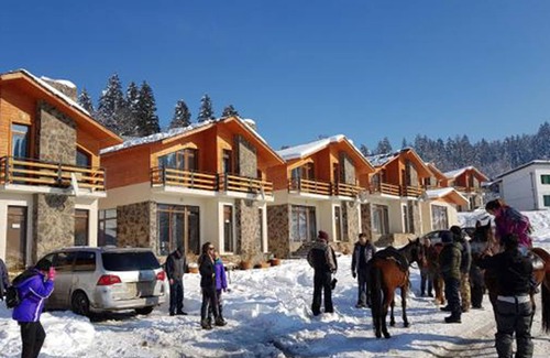 Bakuriani Villa | Villa Mtashi