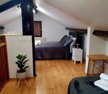 Pantin Villa | Villa Napoleon