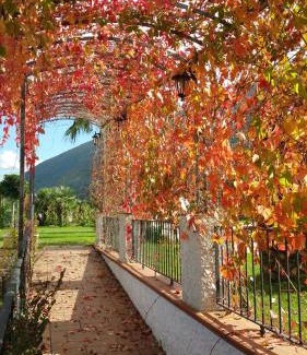 Nocera Inferiore Bed & Breakfast | Villa Nasti Luxury Bed Taurasi Room
