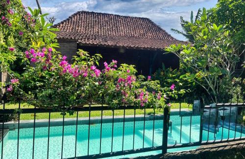 Bangunjiwo House | Villa Nextdoor Nature Yogyakarta