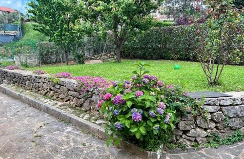 Palestrina House | Villa Nia affittacamere