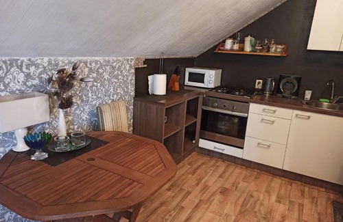 Bigaunciems Apartment | Villa Nikolaj