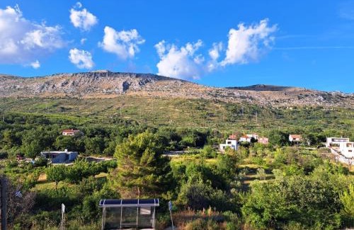 Srinjine House | Villa Nikolina