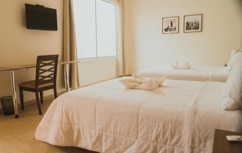 Ica Hotel | Villa Oasis