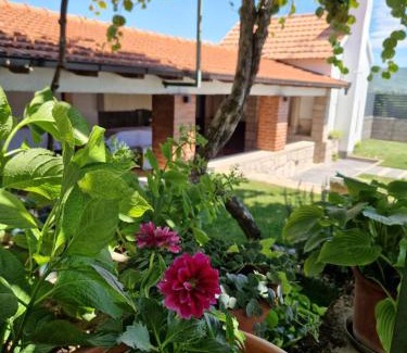 Zmijavci Villa | Villa Olea