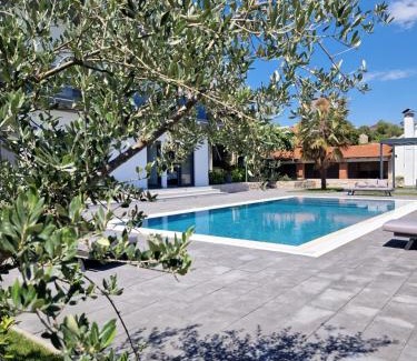 Zmijavci Villa | Villa Olea