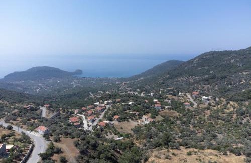 Mesudiye Villa | Villa Olive Garden
