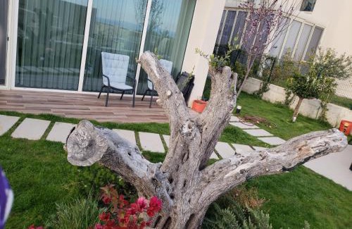 Jala House | Villa Olive Green Coast