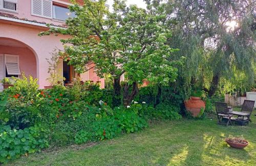 Marciana Marina Apartment | Villa Ontanelli