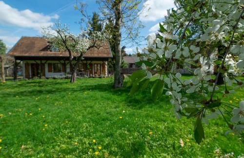 Kazimierz Dolny Apartment | Villa Pod Koniem