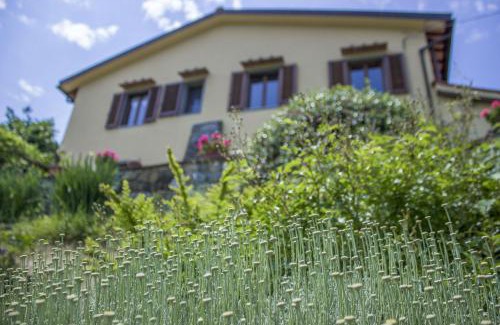 Polcanto House | Villa Porcigliano Olive Grove