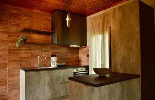 Kamariotissa Villa | Villa Potamia