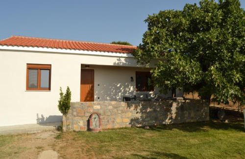 Kamariotissa Villa | Villa Potamia