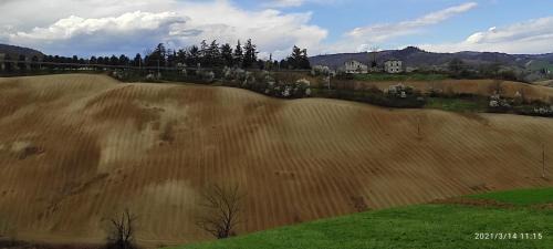 Albinea House | Villa Raffaella a Montericco