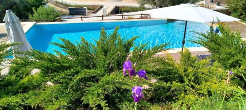 Ferro House | Villa Regadio