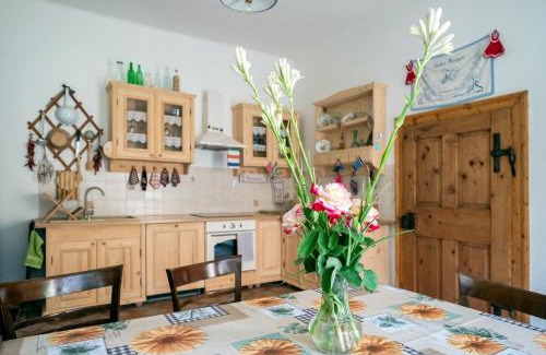 Richis House | Villa Rihuini Eco Wine house Transylvania