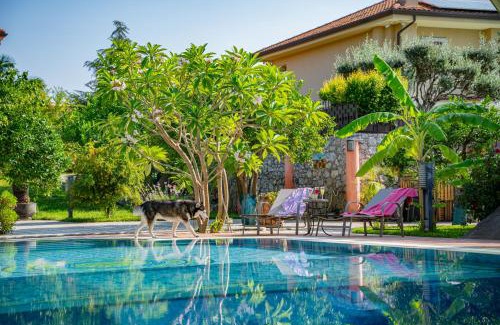 Trappitello Villa | Villa Rita Taormina