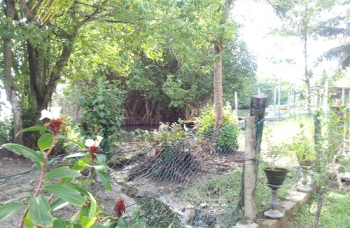 Ekala Villa | Villa Rosita