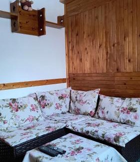 Vichova nad Jizerou Villa | Villa- Roubenka