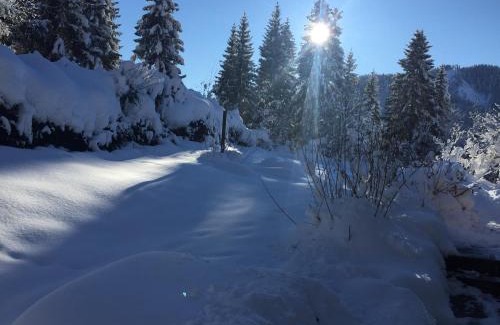Weissensee House | Villa Ruah