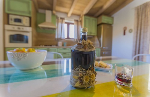 Vrgorac Villa | Villa Rustica Duge Njive