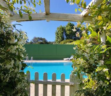 Teo House | Villa Salgueiros