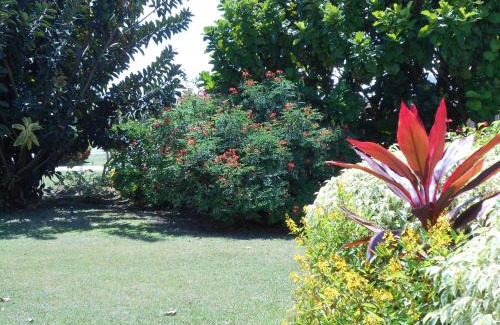 Lowlands Villa | Villa Sans-Souci