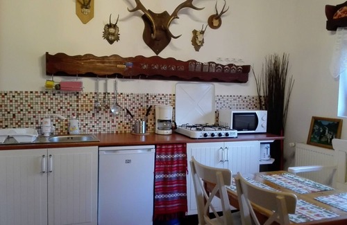 Porumbacu de Jos House | Villa Serbota with park-like garden crossed by a mountain stream