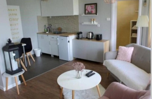 Stari Banovci Villa | Villa Smestaj Dunav