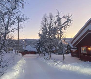 Geilo Apartment | Villa Solsiden Geilo