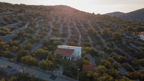 Kaprije Villa | Villa Sonia Kaprije