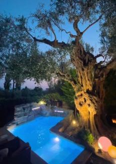 Makri Villa | Villa Steana