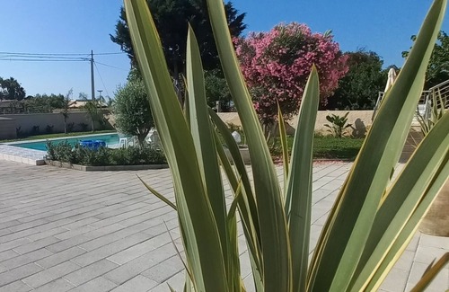 Punta Milocca Villa | Villa Stella Marina