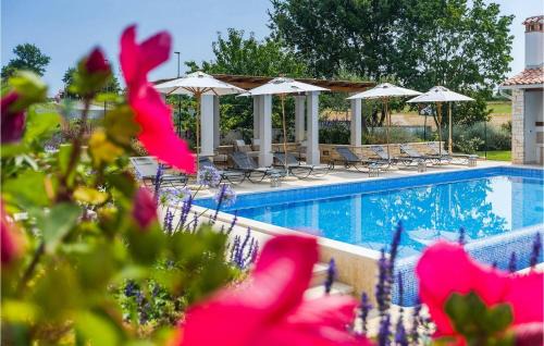 Kastelir House | Villa Terrarossa Kastelir