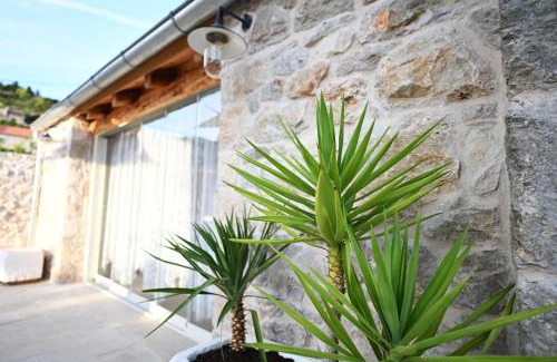 Hvar Villa | Villa Teza Hvar