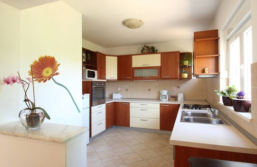 Zvekovica Villa | Villa Tina with private pool
