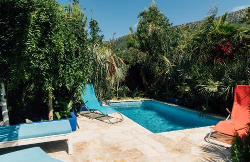Kastel Kambelovac Villa | Villa Tropica, total privacy, tropical garden and private pool