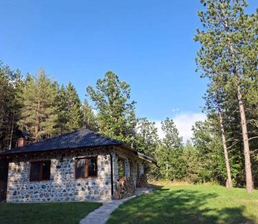Berovo Villa | Villa Vakanica